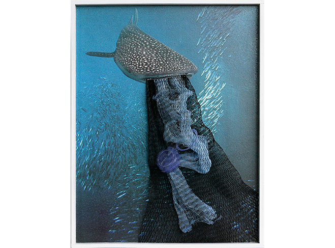 Faszination Meer, Kunst von Martina Finkenstein