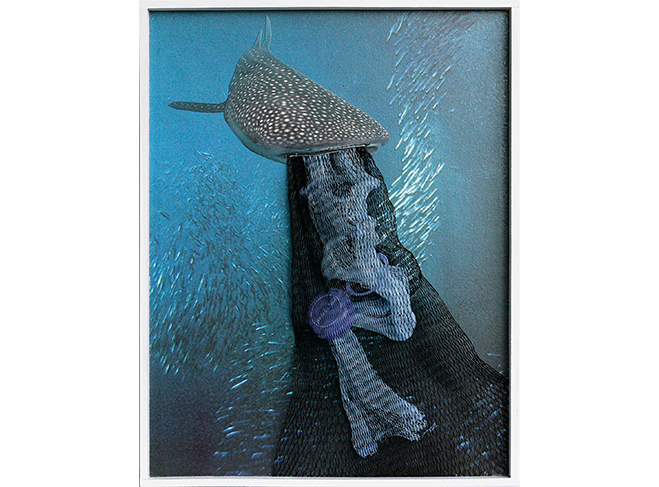 Faszination Meer, Kunst von Martina Finkenstein